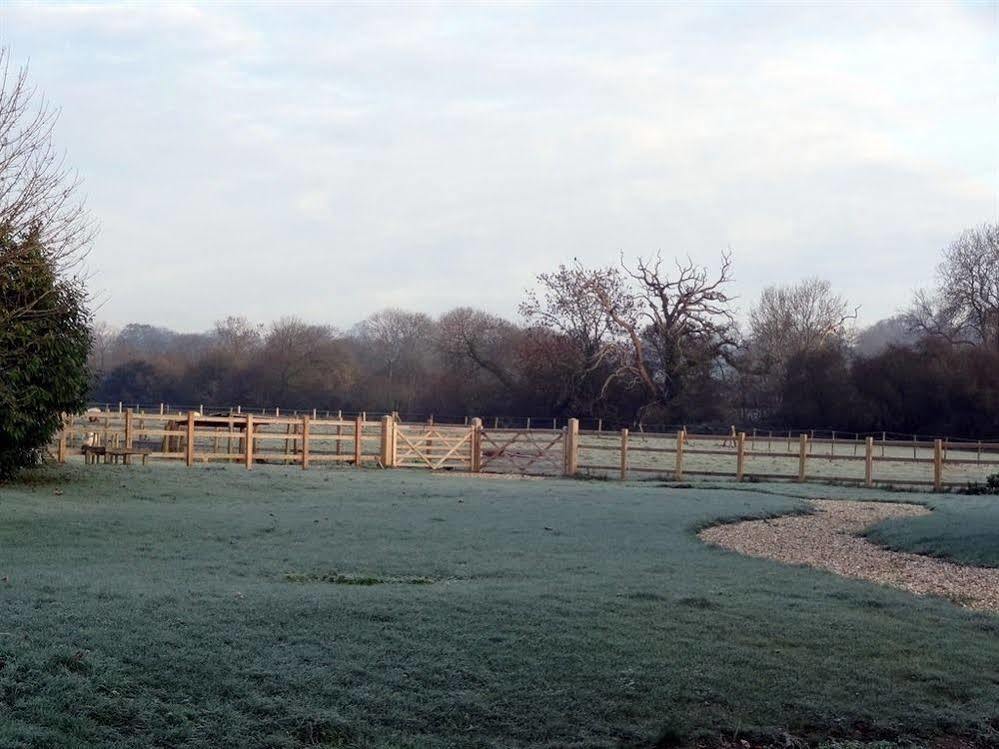 Huxham Farmhouse Bed and Breakfast East Pennard Εξωτερικό φωτογραφία